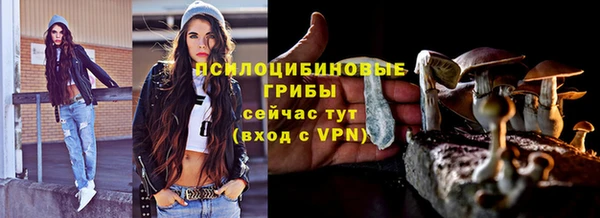 кокс Алексин