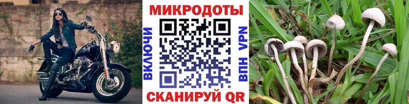 сколько стоит Красноуральск OMG tor Псилоцибиновые грибы мицелий
